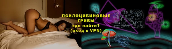 дживик Гусиноозёрск