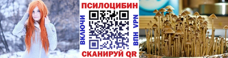 Купить  Калач  Галлюциногенные грибы GOLDEN TEACHER 