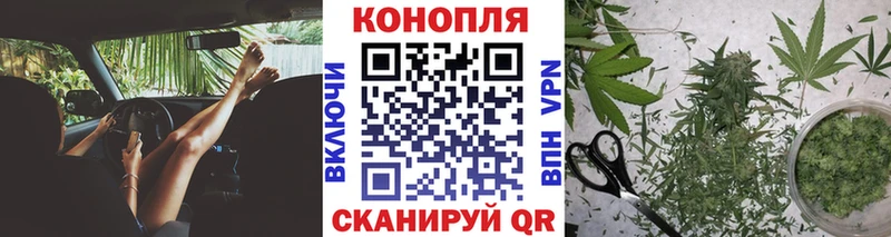 Купить закладки  Калач  Каннабис план 